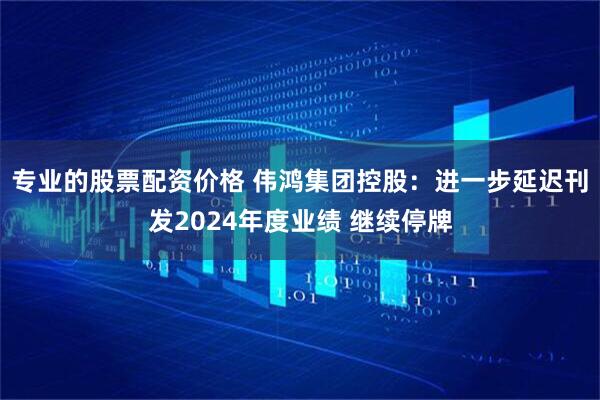专业的股票配资价格 伟鸿集团控股：进一步延迟刊发2024年度业绩 继续停牌
