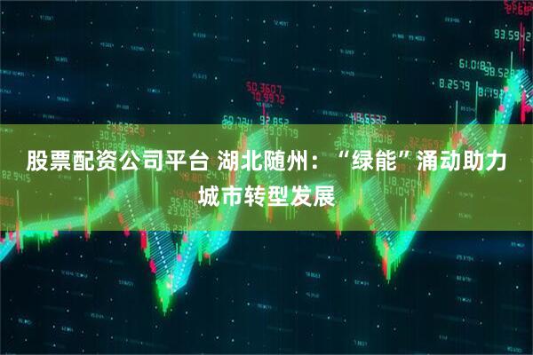 股票配资公司平台 湖北随州：“绿能”涌动助力城市转型发展