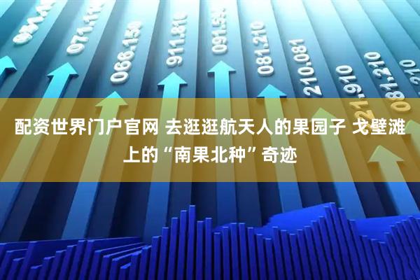 配资世界门户官网 去逛逛航天人的果园子 戈壁滩上的“南果北种”奇迹